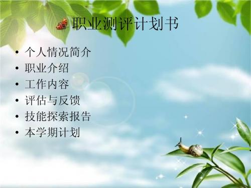 职业测评计划书