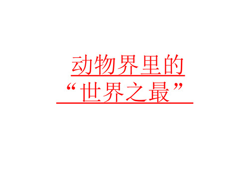 动物界里的世界之最