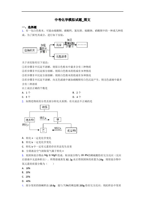 中考化学模拟试题_图文
