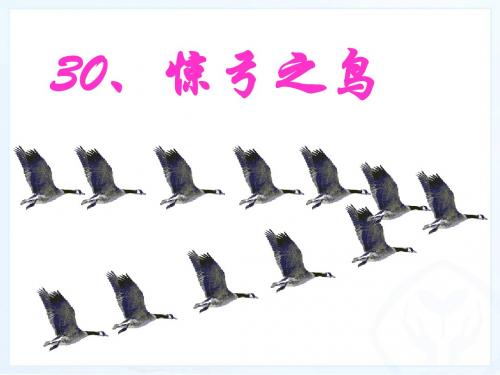 新课标人教版小学三年级语文下册：10、惊弓之鸟PPT、优质教学课件