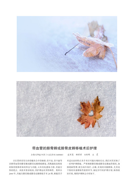 带血管的腓骨瓣或腓骨皮瓣移植术后护理_张翠英