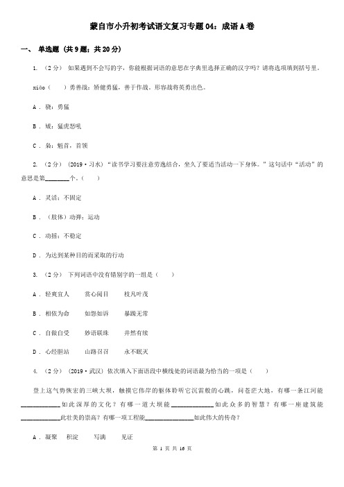 蒙自市小升初考试语文复习专题04：成语A卷