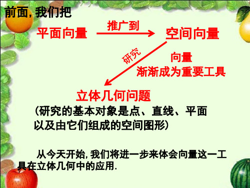 高二数学直线的方向向量与平面的法向量
