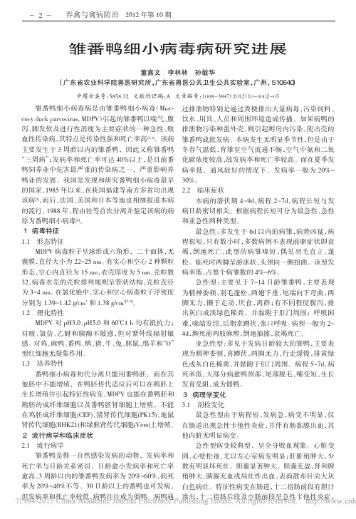 雏番鸭细小病毒病研究进展_董嘉文