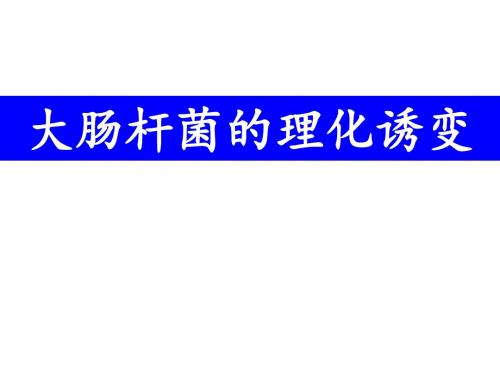 实验_大肠杆菌的理化诱变