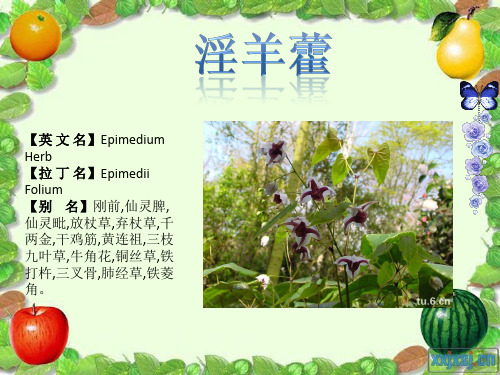 淫羊藿
