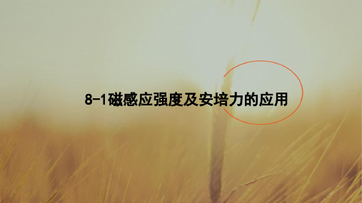 2018年高考物理总动员：8-1磁感应强度及安培力的应用
