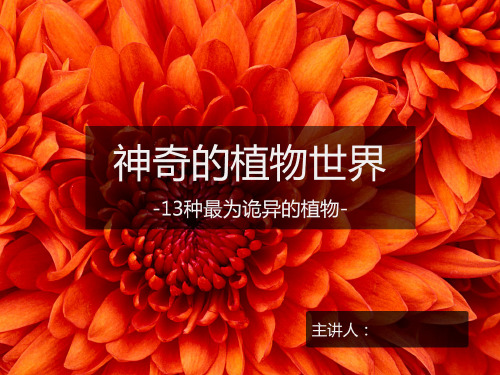 13种诡异的植物