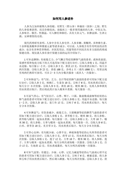 如何用人参进补