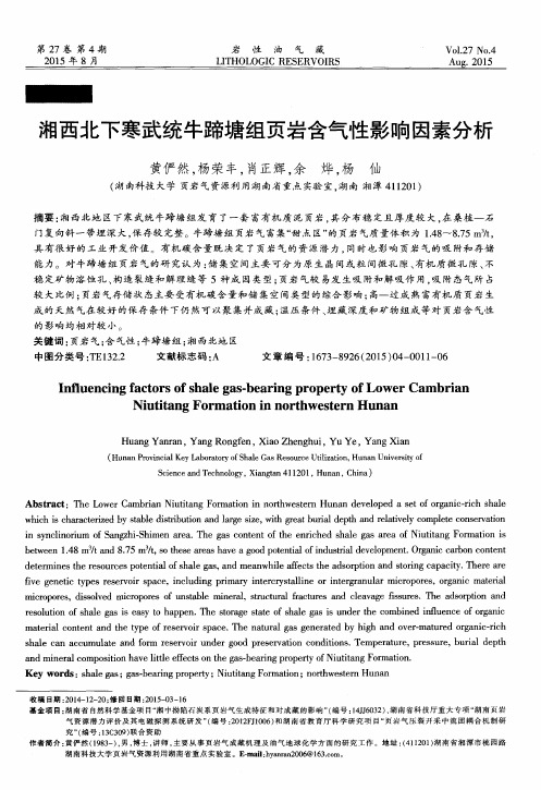 湘西北下寒武统牛蹄塘组页岩含气性影响因素分析