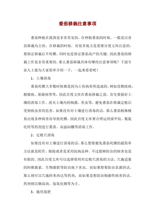 番茄移栽注意事项
