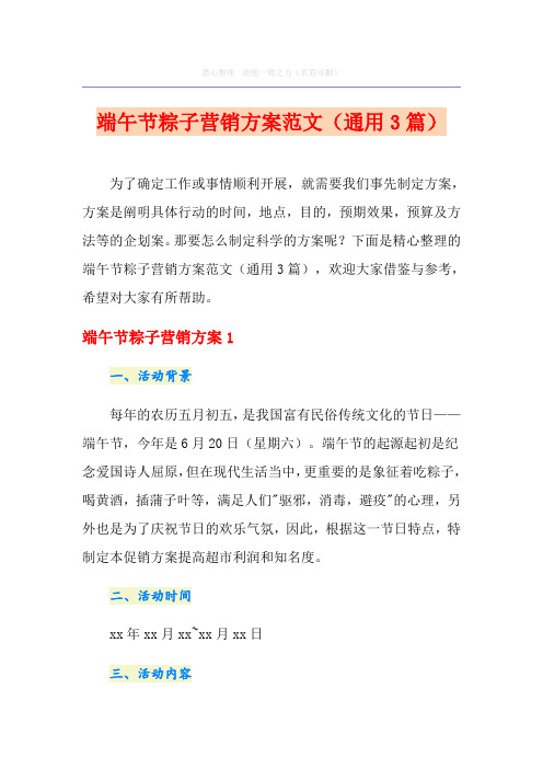 端午节粽子营销方案范文(通用3篇)