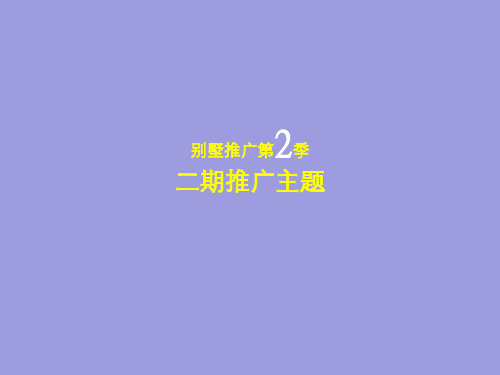 二期别墅项目推广策略方案
