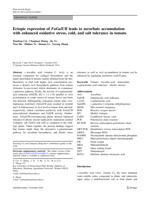 Ectopic expression of FaGalUR leads to ascorbate accumulation in tomato