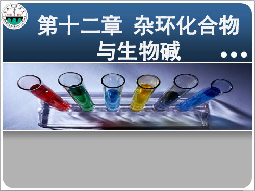 精品课杂环化合物与生物碱33 ppt课件