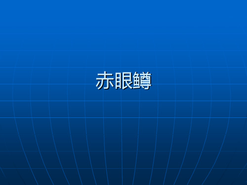 赤眼鳟