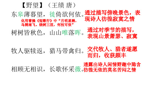 八年级上册课内外古诗词赏析