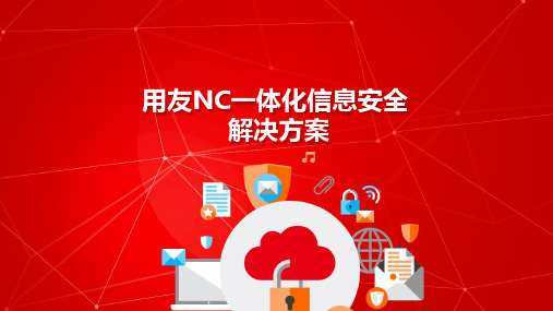 用友NC一体化信息安全解决方案(NC系统安全管理解决方案)