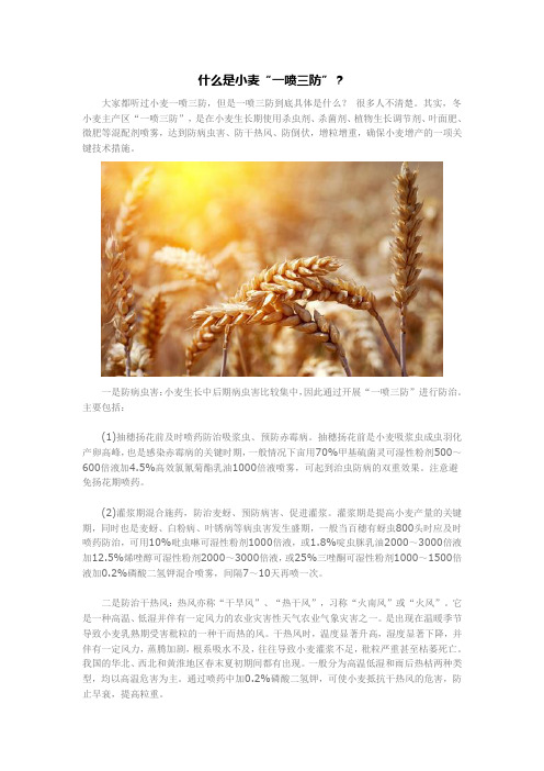 小麦“一喷三防”