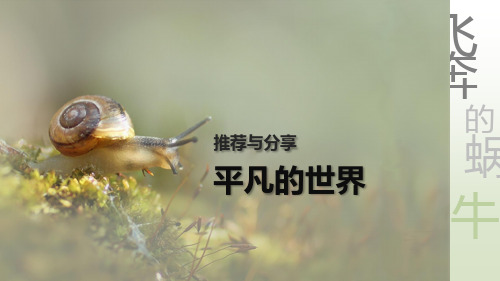 阅读分享之《平凡的世界》PPT展示