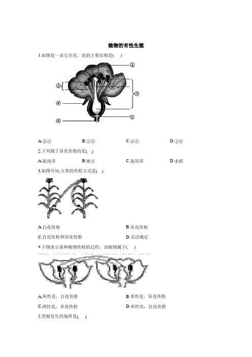 苏教版生物八年级下册《植物的有性生殖》第2课时 同步练习