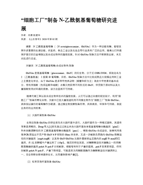 “细胞工厂”制备N-乙酰氨基葡萄糖研究进展