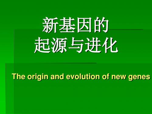 新基因起源与进化