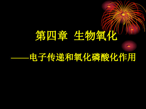 第4章  生物氧化2