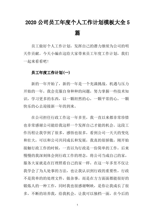 2020公司员工年度个人工作计划模板大全5篇.doc