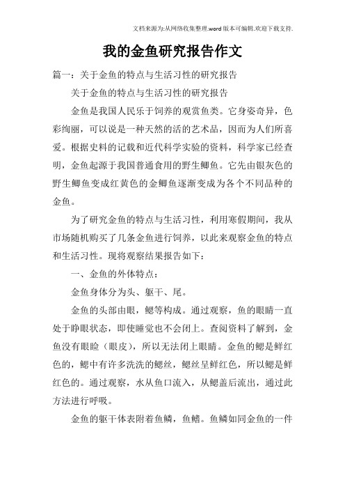 我的金鱼研究报告作文