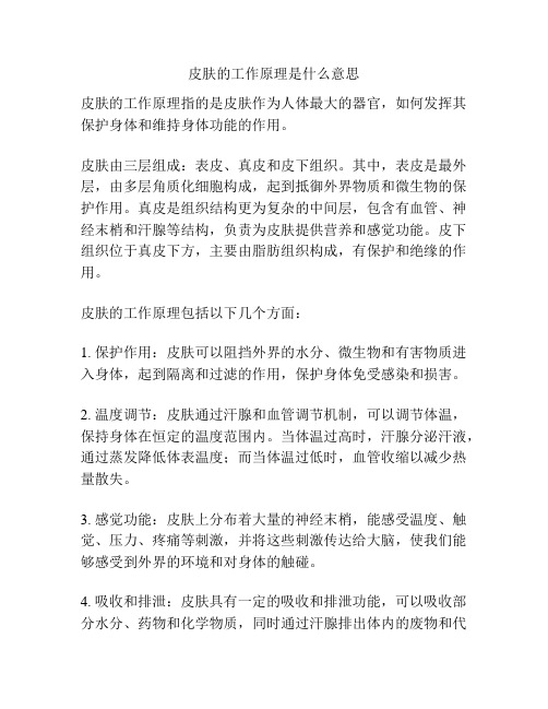 皮肤的工作原理是什么意思