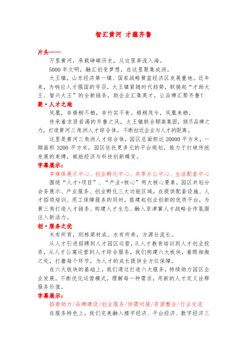 黄河三角洲人才综合体宣传片文案
