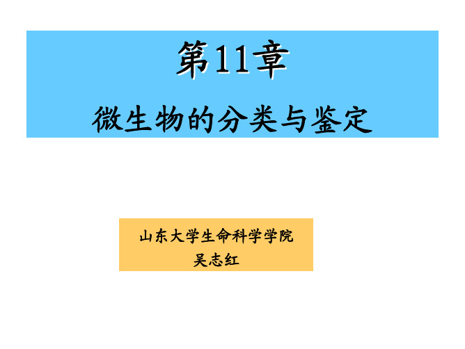 微生物的分类与鉴定