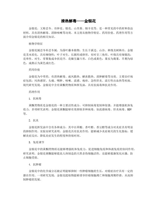 清热解毒——金银花