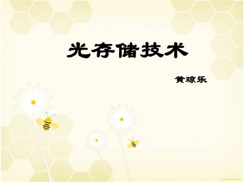 光存储