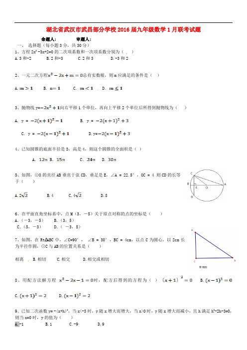 湖北省武汉市武昌部分学校九年级数学1月联考试题 新人
