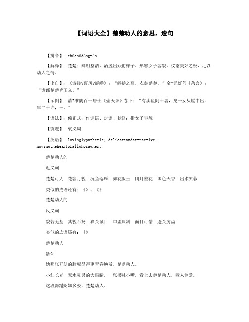【词语大全】楚楚动人的意思,造句