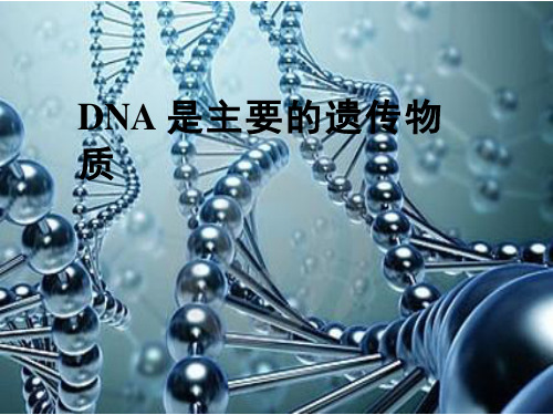 高中生物《DNA是主要的遗传物质1》优质教学课件