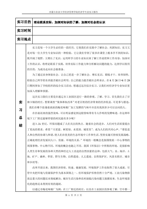 实习报告