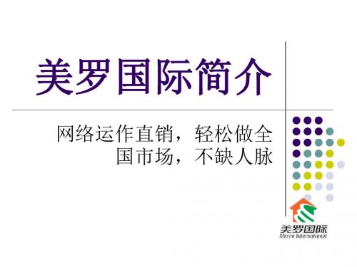 美罗国际简介