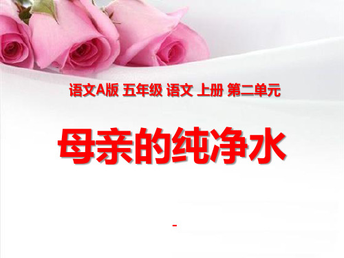 202X语文A版语文五上《母亲的纯净水》ppt课件