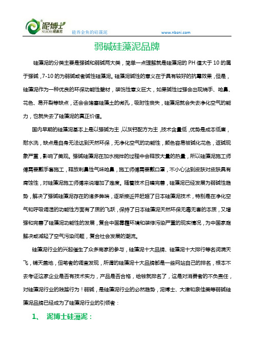 弱碱硅藻泥品牌