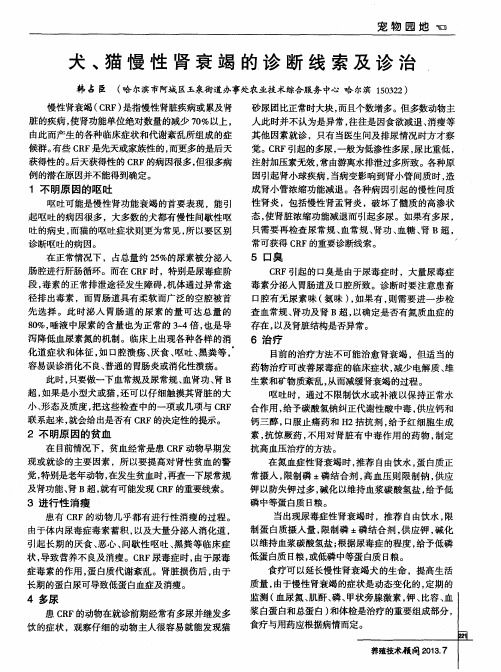 犬、猫慢性肾衰竭的诊断线索及诊治