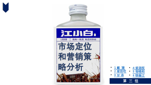 江小白市场定位和营销策略分析