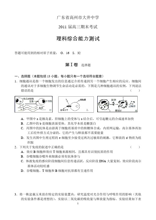 广东省高州市大井中学2011届高三期末考试——理综