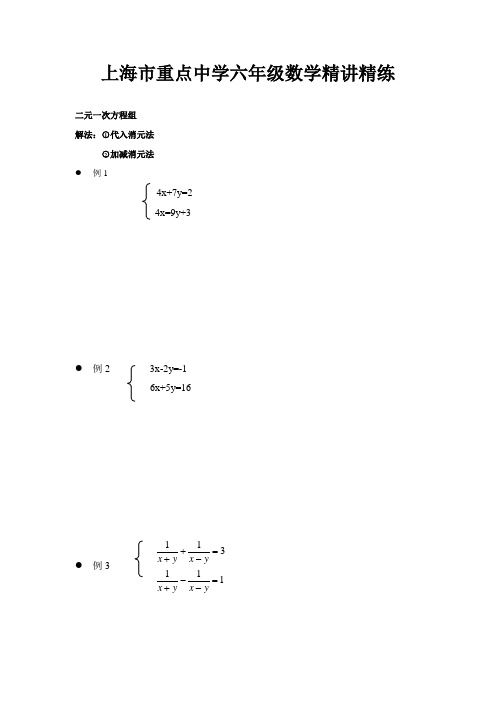 二,三元一次方程组讲义