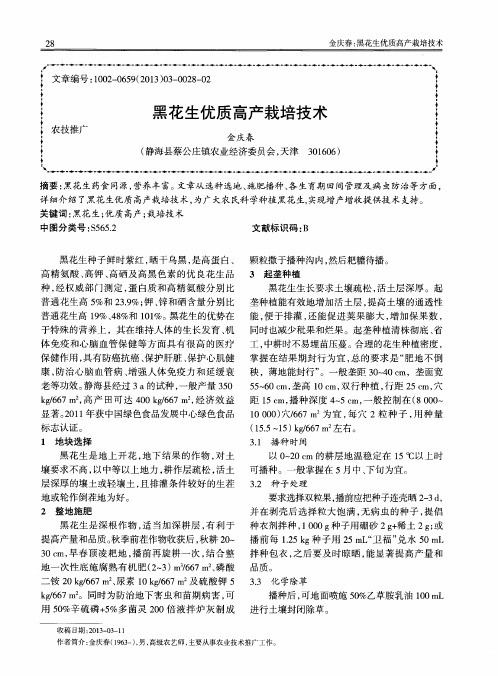 黑花生优质高产栽培技术