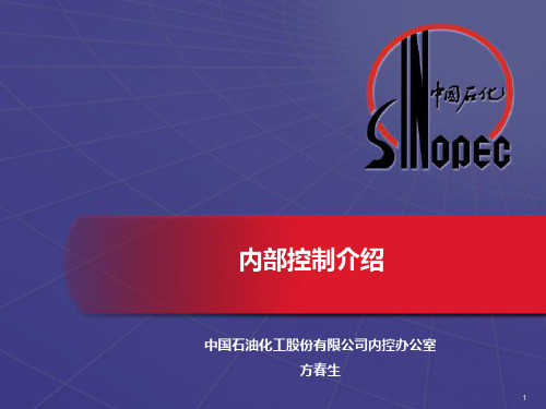 中国石油化工股份有限公司内部控制介绍
