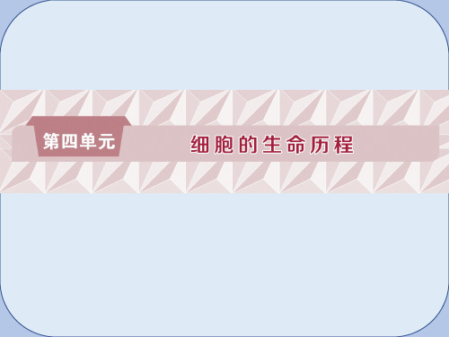 2019届高考生物一轮复习第四单元细胞的生命历程第12讲细胞的增殖课件