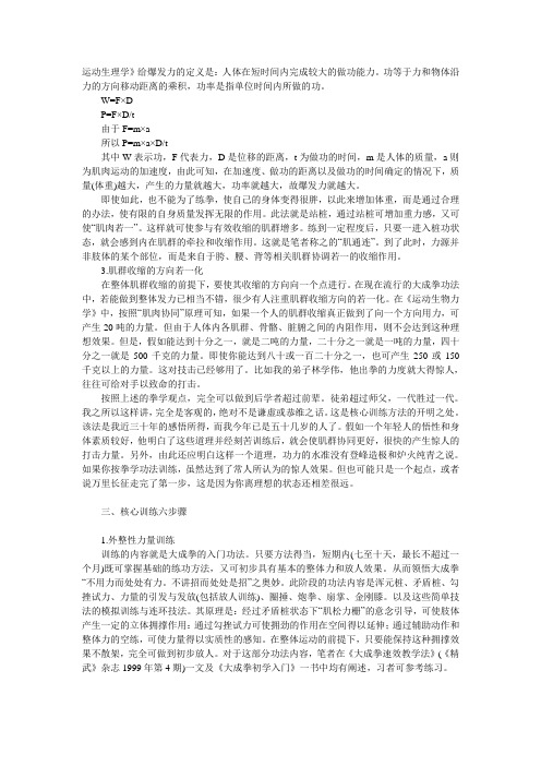 大成拳核心训法2